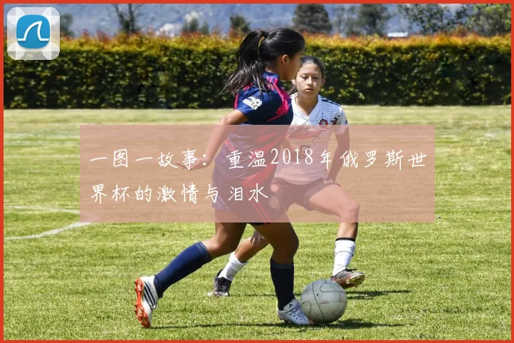 一图一故事:重温2018年俄罗斯世界杯的激情与泪水