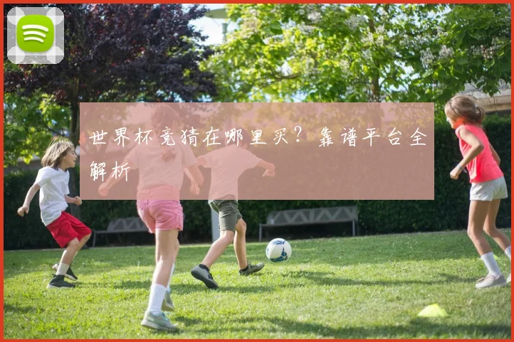 世界杯竞猜在哪里买?靠谱平台全解析