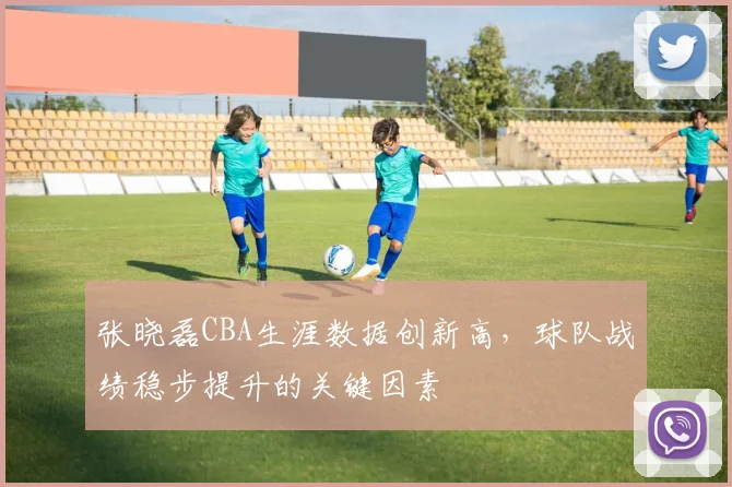 张晓磊CBA生涯数据创新高,球队战绩稳步提升的关键因素