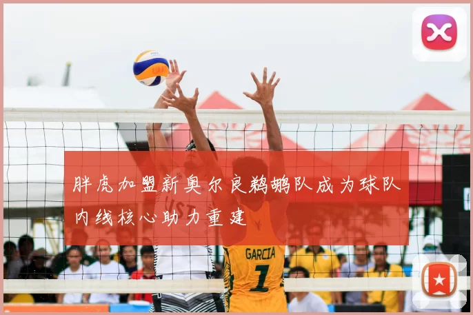 胖虎加盟新奥尔良鹈鹕队成为球队内线核心助力重建