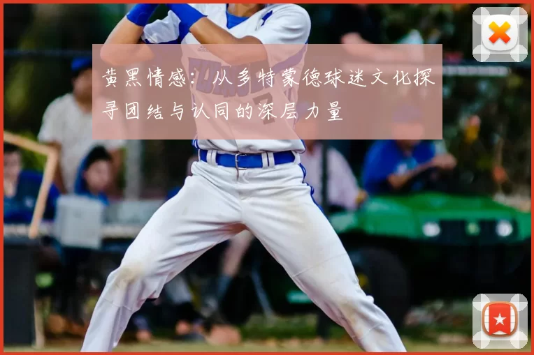 黄黑情感：从多特蒙德球迷文化探寻团结与认同的深层力量