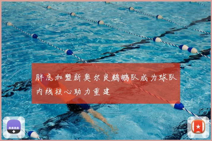 胖虎加盟新奥尔良鹈鹕队成为球队内线核心助力重建