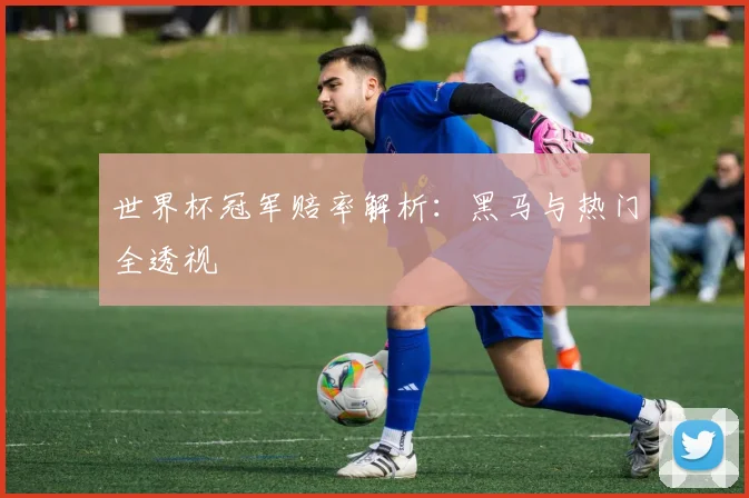 世界杯冠军赔率解析:黑马与热门全透视