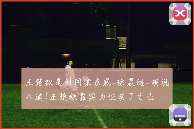 王楚钦是刘国梁亲戚_徐晨皓_胡说八道!王楚钦靠实力证明了自己