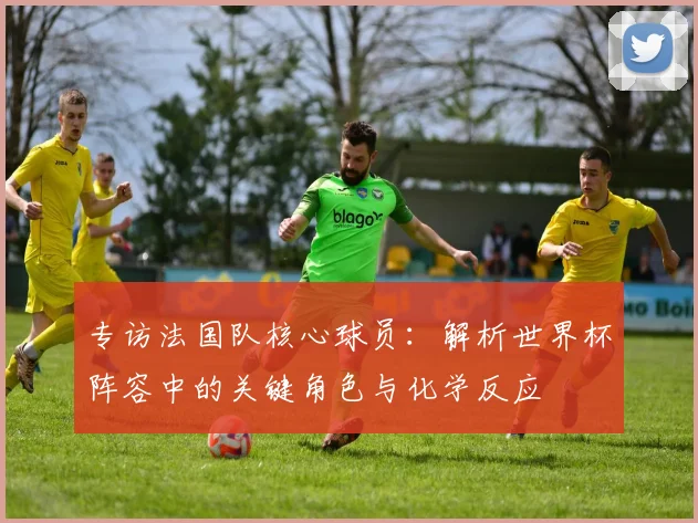 专访法国队核心球员:解析世界杯阵容中的关键角色与化学反应