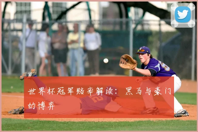 世界杯冠军赔率解读:黑马与豪门的博弈