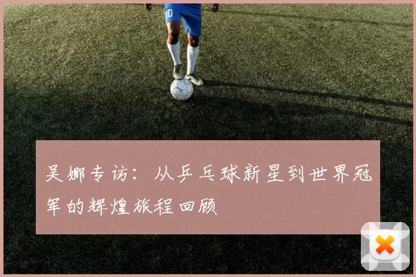 吴娜专访：从乒乓球新星到世界冠军的辉煌旅程回顾