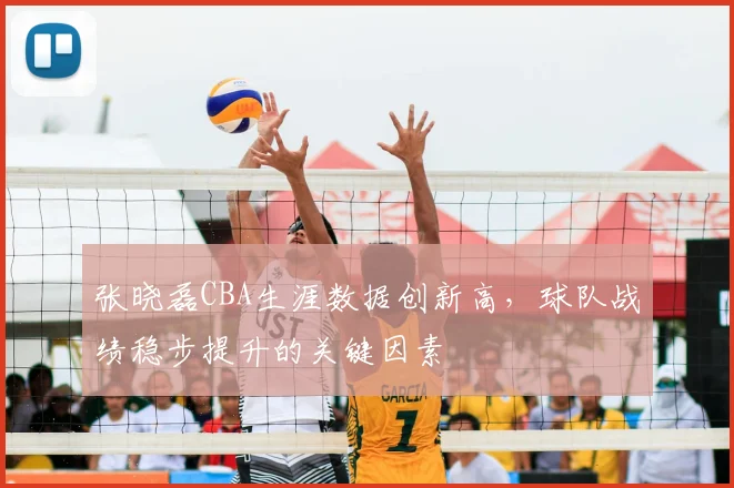 张晓磊CBA生涯数据创新高，球队战绩稳步提升的关键因素
