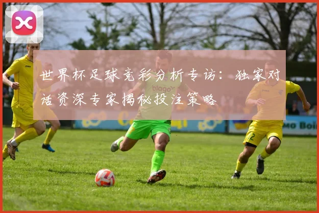 世界杯足球竞彩分析专访：独家对话资深专家揭秘投注策略