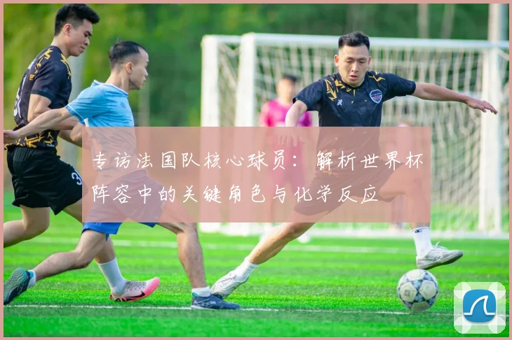 专访法国队核心球员:解析世界杯阵容中的关键角色与化学反应