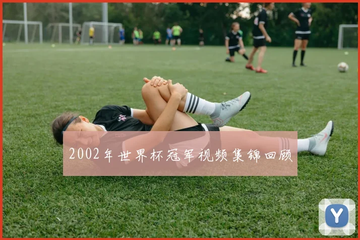 2002年世界杯冠军视频集锦回顾