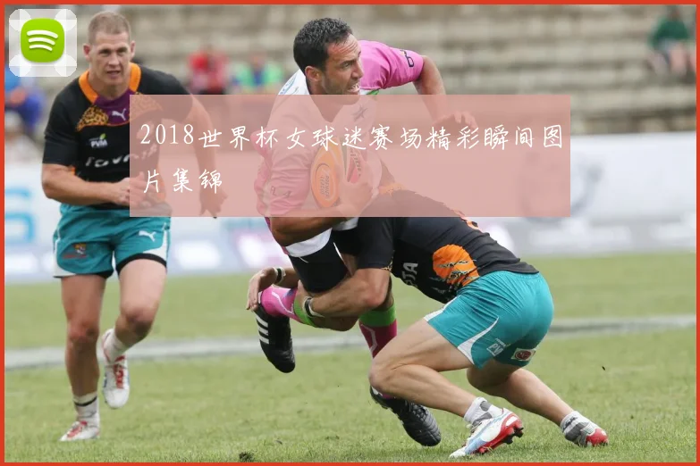 2018世界杯女球迷赛场精彩瞬间图片集锦