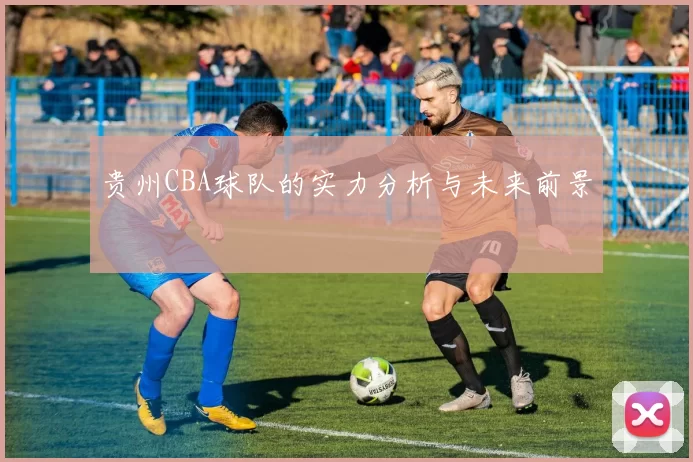 贵州CBA球队的实力分析与未来前景
