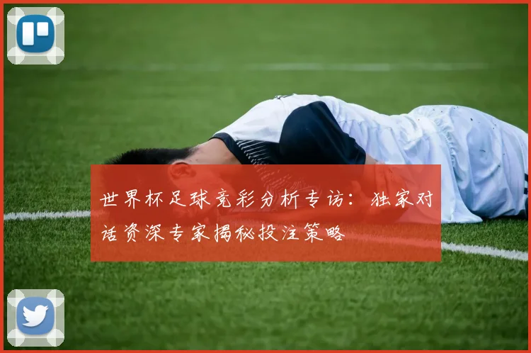 世界杯足球竞彩分析专访:独家对话资深专家揭秘投注策略