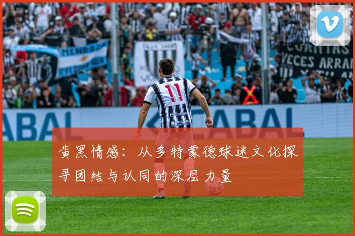 黄黑情感：从多特蒙德球迷文化探寻团结与认同的深层力量