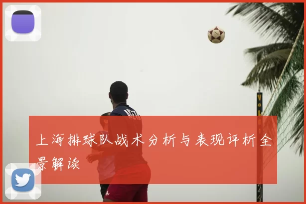 上海排球队战术分析与表现评析全景解读