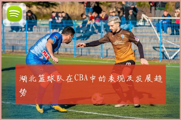 湖北篮球队在CBA中的表现及发展趋势