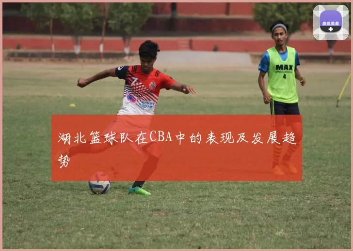 湖北篮球队在CBA中的表现及发展趋势