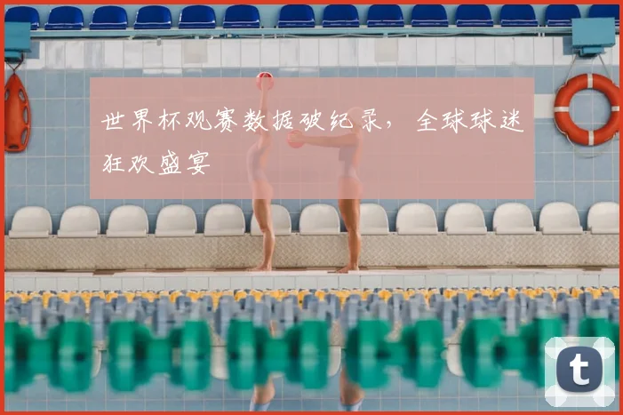 世界杯观赛数据破纪录,全球球迷狂欢盛宴