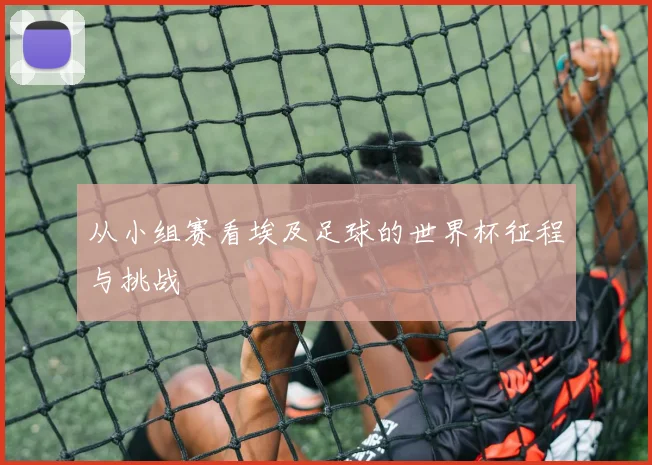 从小组赛看埃及足球的世界杯征程与挑战