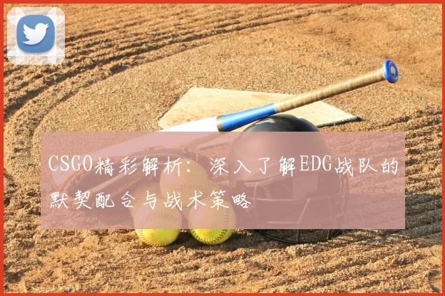 CSGO精彩解析：深入了解EDG战队的默契配合与战术策略