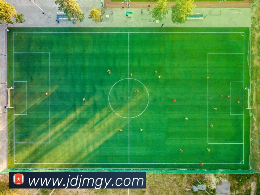 爱游戏官网APP 封面图